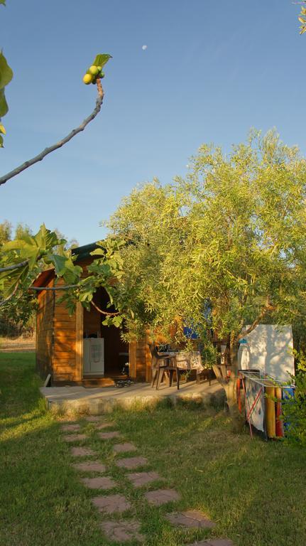 Farm stay Tres Montes *