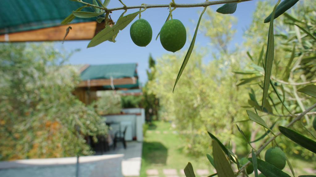 Farm stay Tres Montes Sorso