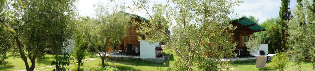 Farm stay Tres Montes *