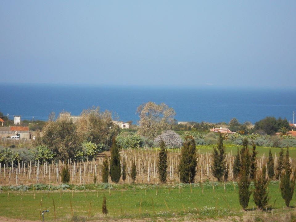 Tres Montes Sorso